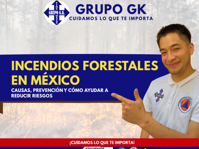Incendios forestales en México: causas, prevención y cómo ayudar a reducir riesgos | Grupo&nbsp;GK